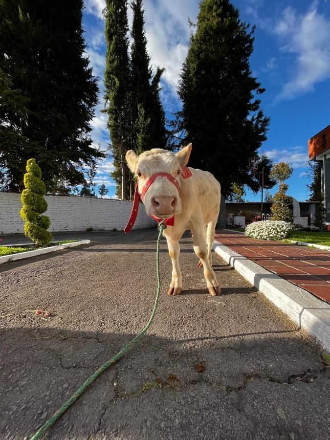 Hosteria El Troje Experience Риобамба Екстериор снимка